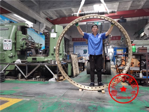 精密回轉(zhuǎn)大蝸輪海洋平臺(tái)專用